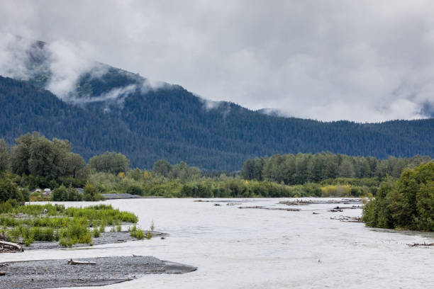 istock Denali National Park Landscape 1451319132