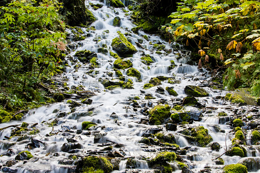 Water and rocks in the brook