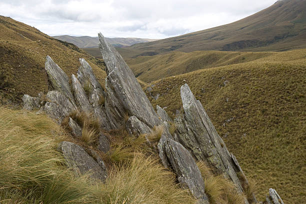 Mountain  Pass Danseys Pass is in the South Island of New Zealand.  schist stock pictures, royalty-free photos & images