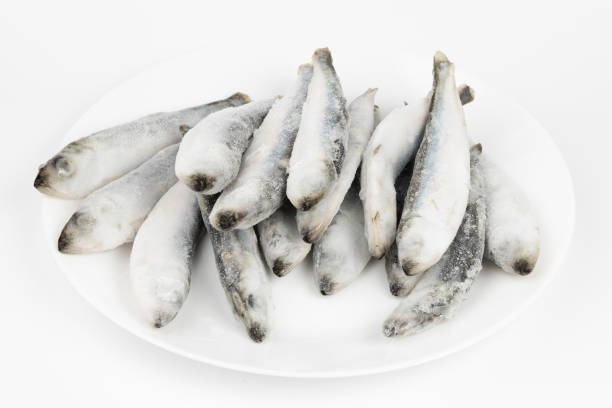 istock Frozen herring fish on a white plate, seafood in the kitchen. 1451320998