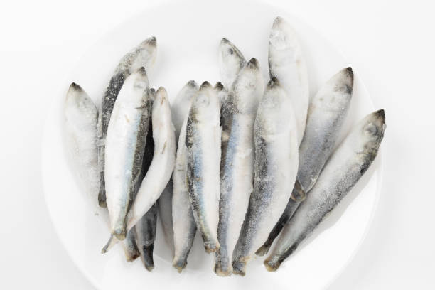 istock Frozen sea fish on a white plate, top view. 1451321004