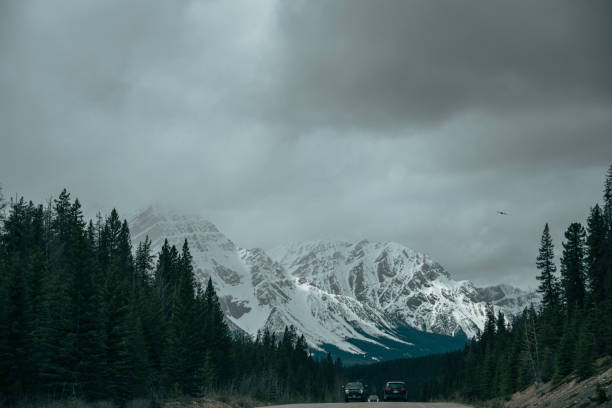 istock Nature of Alberta Canada during winter season 1451325499