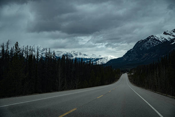 istock Nature of Alberta Canada during winter season 1451325505