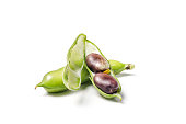 Fresh purple beans in a green pod isolated on white background. String beans with clipping path.