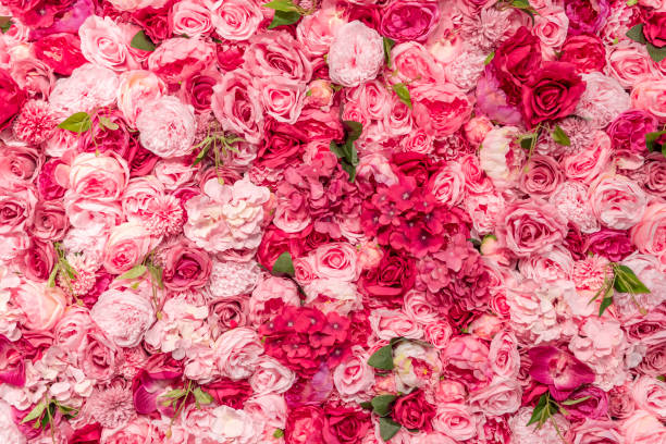 flowers A wall densely covered with dummy roses and other plastic flowers rose flower stock pictures, royalty-free photos & images