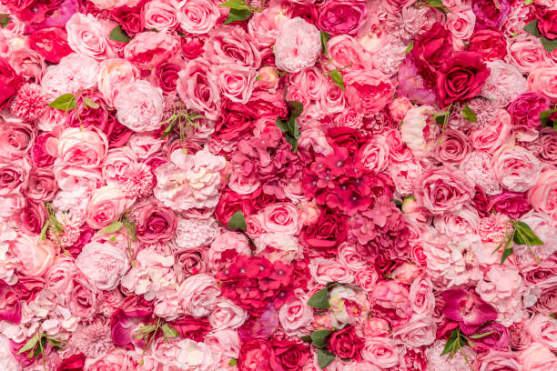 flowers A wall densely covered with dummy roses and other plastic flowers rose colored stock pictures, royalty-free photos & images