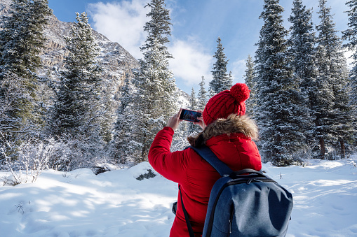 Female tourist with backpack photographing snowcapped mountains and forest