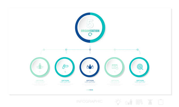 Business data visualization. timeline infographic icons designed for abstract background template stock illustration Infographic, Number 5, Timeline - Visual Aid, Icon set, Circle Business data visualization. timeline infographic icons designed for abstract background template stock illustration Infographic, Number 5, Timeline - Visual Aid, Icon set, Circle organization chart stock illustrations