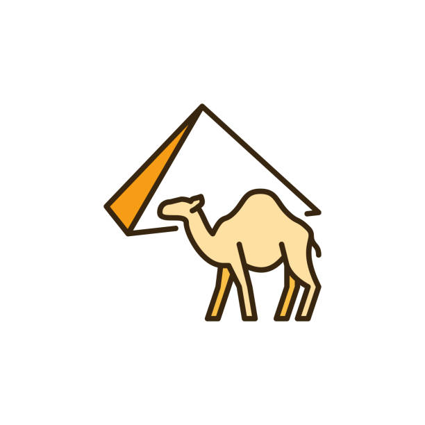 ilustrações de stock, clip art, desenhos animados e ícones de camel and egypt pyramid vector concept colored icon - egypt camel pyramid shape pyramid