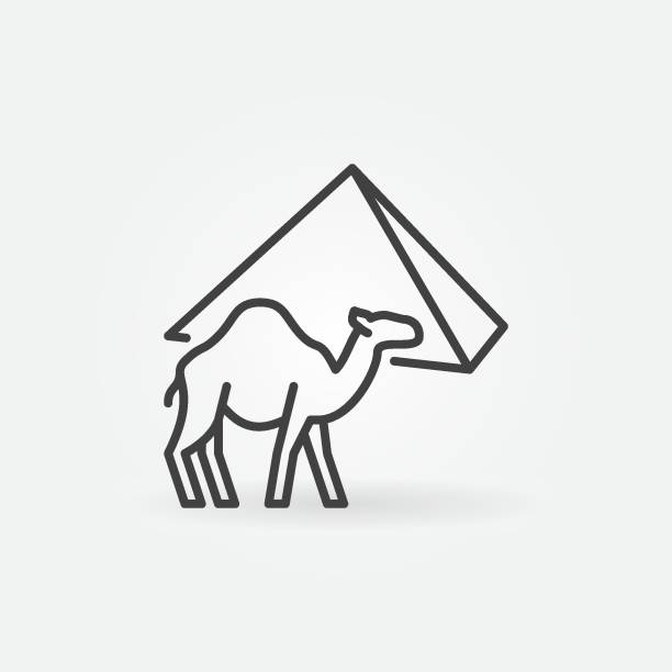 ilustrações de stock, clip art, desenhos animados e ícones de egyptian camel and egypt pyramid vector concept thin line icon or symbol - egypt pyramid cairo camel