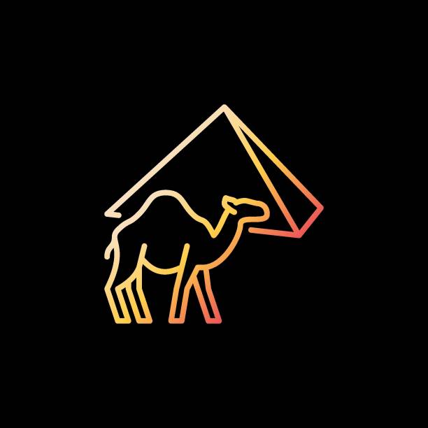 ilustrações de stock, clip art, desenhos animados e ícones de egyptian camel and egypt pyramid vector concept outline colorful icon - egypt camel pyramid shape pyramid