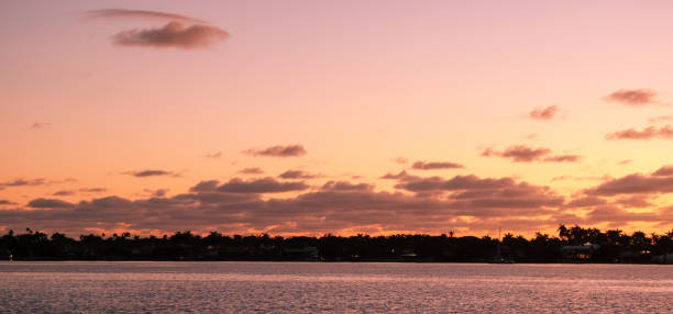 восход солнца в палм-бич, флорида, сша - city of sunrise sunrise tree sky стоковые фото и изображения