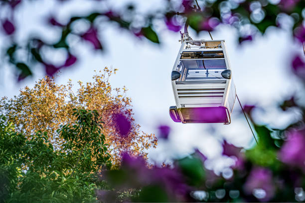 istock Cable car cab on background of sky, flowers, and plants 1451346663