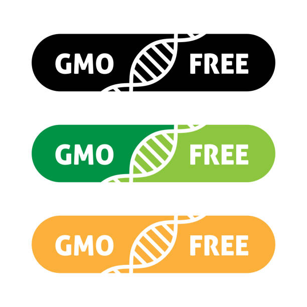 ilustrações, clipart, desenhos animados e ícones de logotipo do ícone gmo free. símbolo de rótulo de alimentos não gmo. projeto orgânico do selo saudável do adesivo do alimento vetor ilustração stock - genetic modification genetic mutation genetic research vegetable