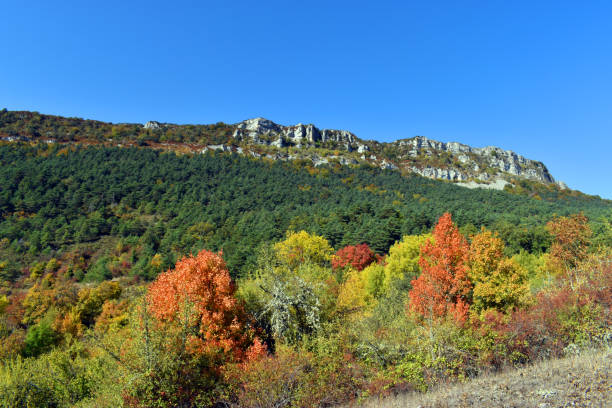 istock Valderejo Natural Park (Alava, Basque Country) in autumn 1451347055