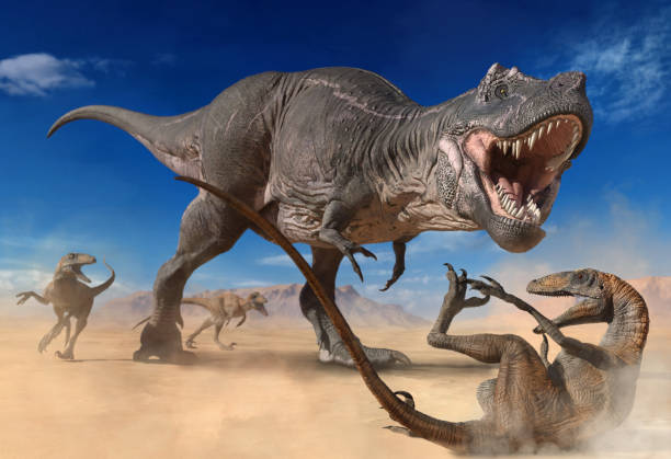 Tyrannosaurus with smaller predators from the Cretaceous era 3D illustration stock photo