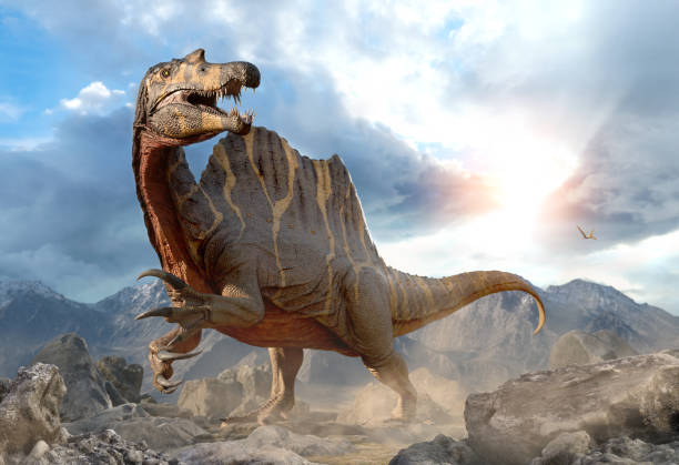 spinosaurus from the cretaceous era 3d illustration - theropod stockfoto's en -beelden