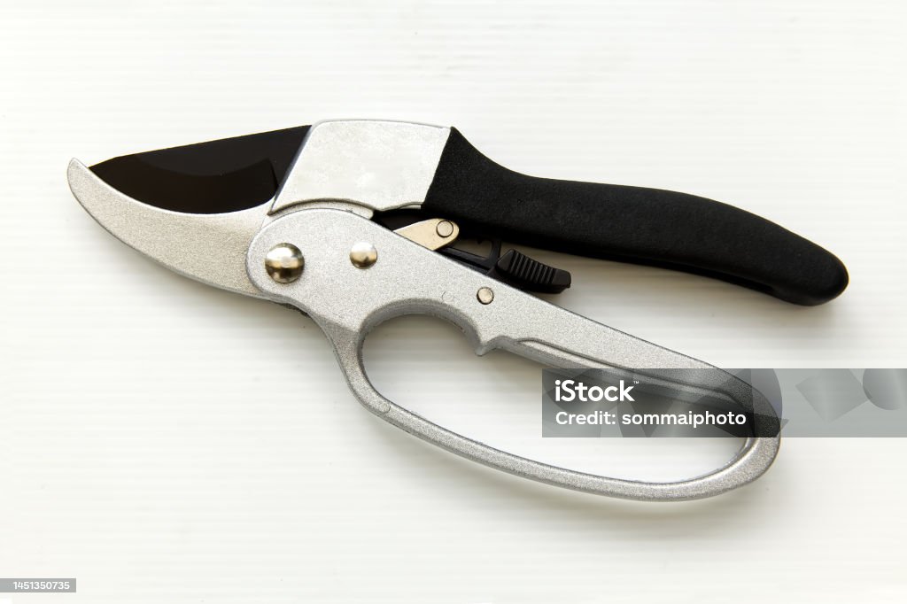 Shears Stock Image Pruning Shears Isolated On White Background Stock Photo - Download ...