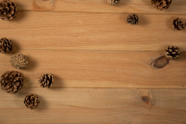 Pine cones isolated on white - focus on the front one