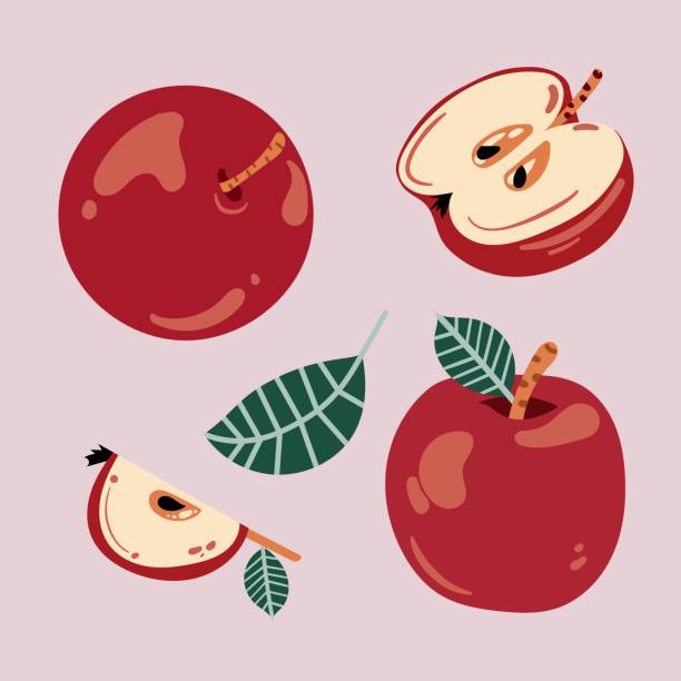 ilustraciones, imágenes clip art, dibujos animados e iconos de stock de colección de manzanas en estilo plano. manzanas texturizadas dibujadas a mano. - portion apple food pattern