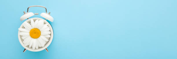istock Big beautiful daisy flower on white alarm clock on light blue table background. Pastel color. Time concept. Wide banner. Empty place for text. Top down view. 1451358123