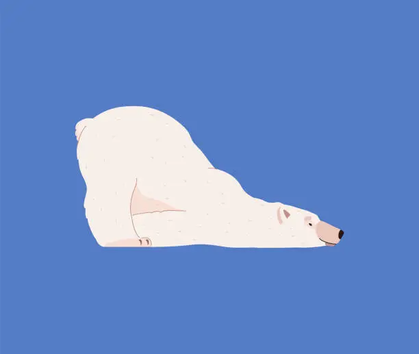 Vector illustration of Cute polar bear lying in funny pose, cartoon flat vector illustration isolated on blue background. Carnivore Arctic inhabitant. Cheerful animal drawing for kids and children.