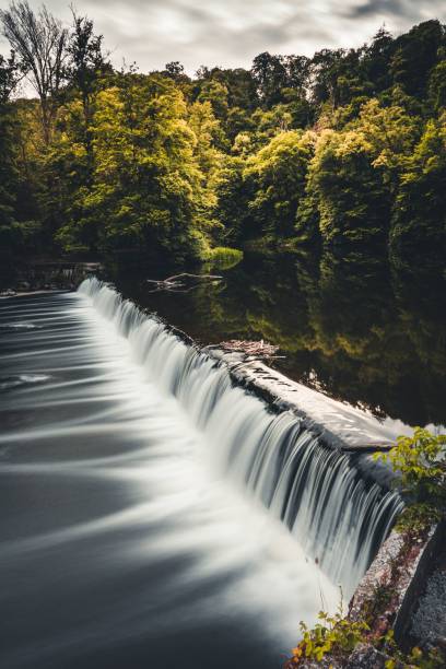 istock Vertical shot of a waterfall in a forest under the clouds 1451362048