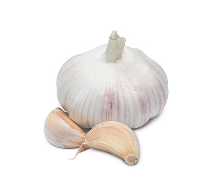 Single fresh white garlic bulb with segments is isolated on white background with clipping path, Thai herb is great for healing several severe diseases, heart attact, Hyperlipidemia or Dyslipidemia, close up photo