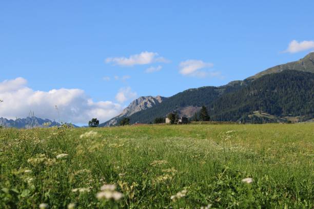 istock Grassy field with a mountain in the background against the blue sky 1451365135