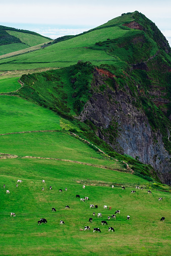 Photo of a landscape at the São Jorge Island in Azores, Portugal.
