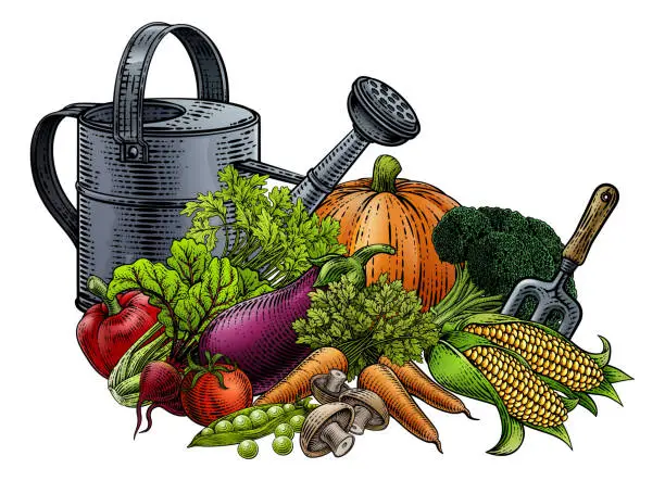 Vector illustration of Gardening Tools Vegetables Produce Vintage Woodcut