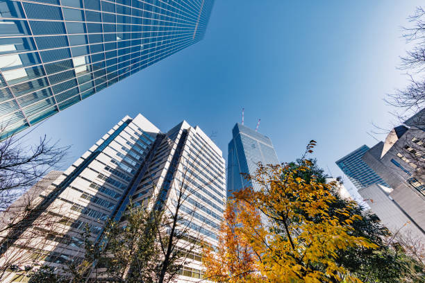 istock Buildings in Tokyo and trees with autumn leaves 1451384005