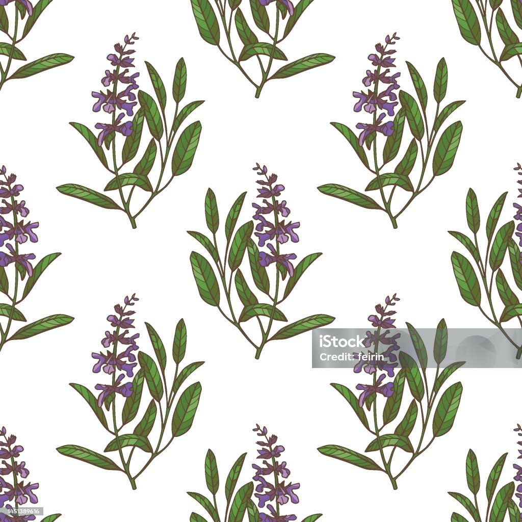 Sage Colour Pattern Color Sage Pattern In Handdrawn Style Stock Illustration - Download ...