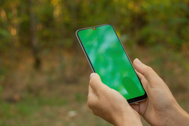 istock hands holding phone with green screen in summer park close up 1451394932
