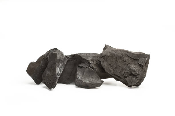 istock Five pieces of charcoal on a white background 1451395043