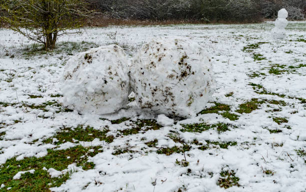 istock Public parkland in the snow with a snowman 1451400106