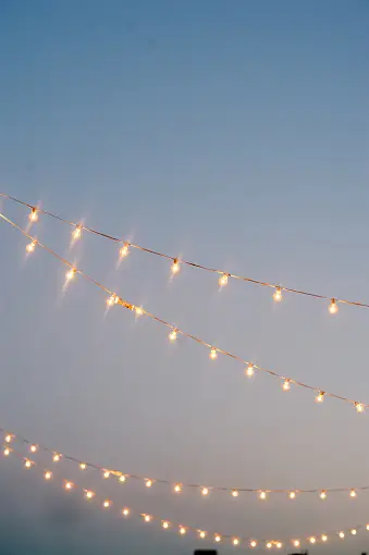 750+ Fairy Lights Pictures | Download Free Images on Unsplash