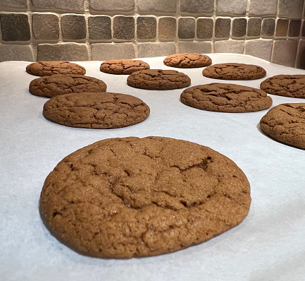 Freshly baked gingerbread cookies on a baking sheet just out of the oven.