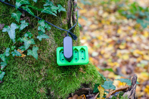 istock Green electricity socket on a tree trunk, substainable renewable energy, csr concept, environment protection, eco technology 1451410348
