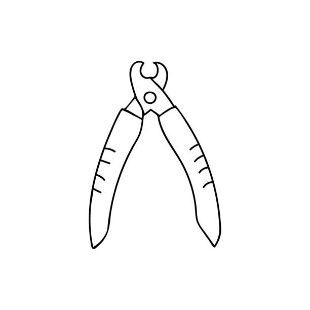 243 Dog Nail Clipper Illustrations & Clip Art - iStock 243 Dog Nail Clipper Illustrations & Clip Art - iStock