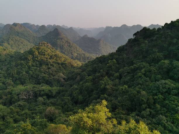 istock Cat Ba Island, National Park Cat Ba. Vietnam 1451423368
