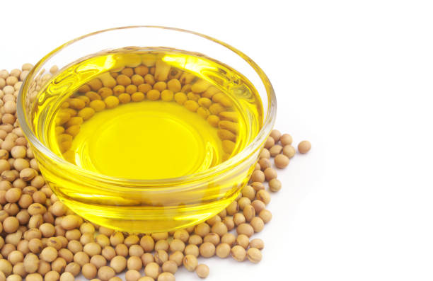 istock Soy beans with soy oil isolated on white 1451425363