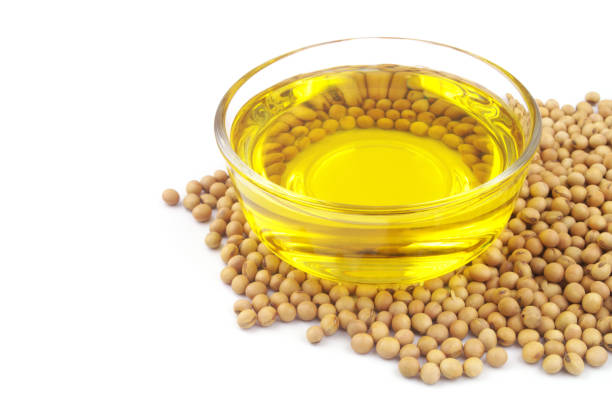 istock Soy beans with soy oil isolated on white 1451425375