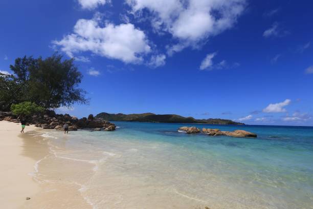 istock Breathtaking seascape with tropical trees on the shore under bright blue sky 1451428247