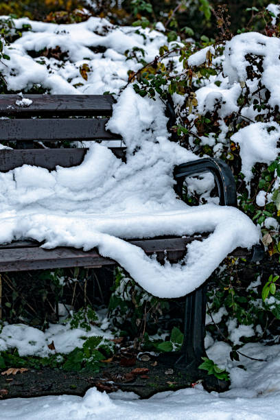 Park bench in the snow.