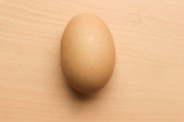 istock Chicken egg isolated on brown wooden background 1451429634