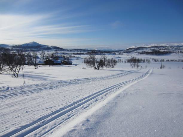 malowniczy zimowy krajobraz w rauland z trasą biegową - telemark skiing zdjęcia i obrazy z banku zdjęć
