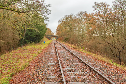 A look along the empty single line rural rail track in  Sussex England on a colourful leaf strewn Autumn day