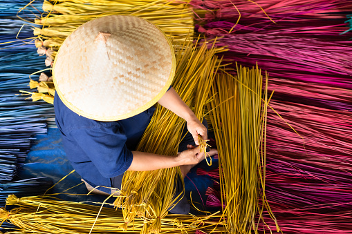 Processing of flax trees into different colors to be weaved into mats. One of the occupations and lifestyles of village people in rural Thailand.