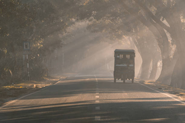 istock Driving in a winter morning 1451447198